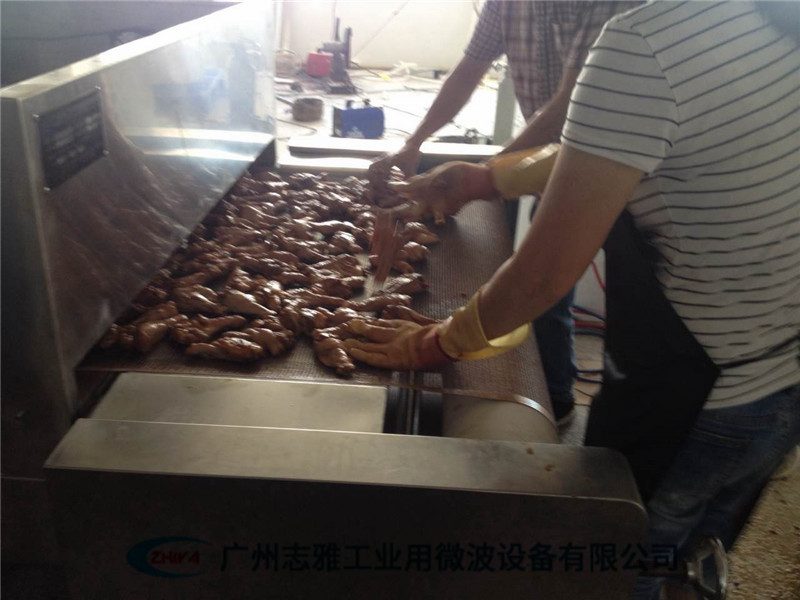 雞腿微波熟化設(shè)備